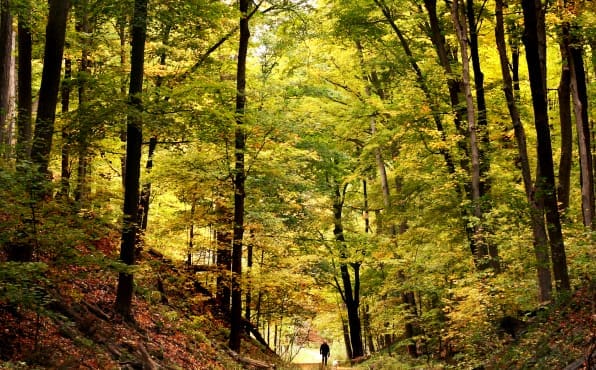 City of Barrie Movers