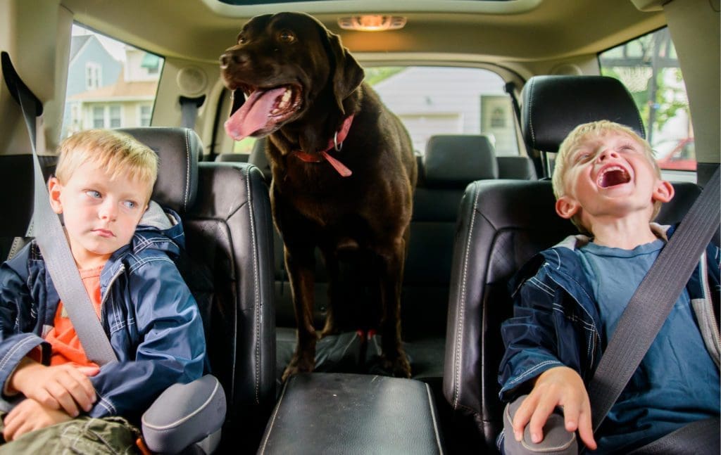 Le grand débat : vaut-il mieux élever ses enfants en ville ou en banlieue 